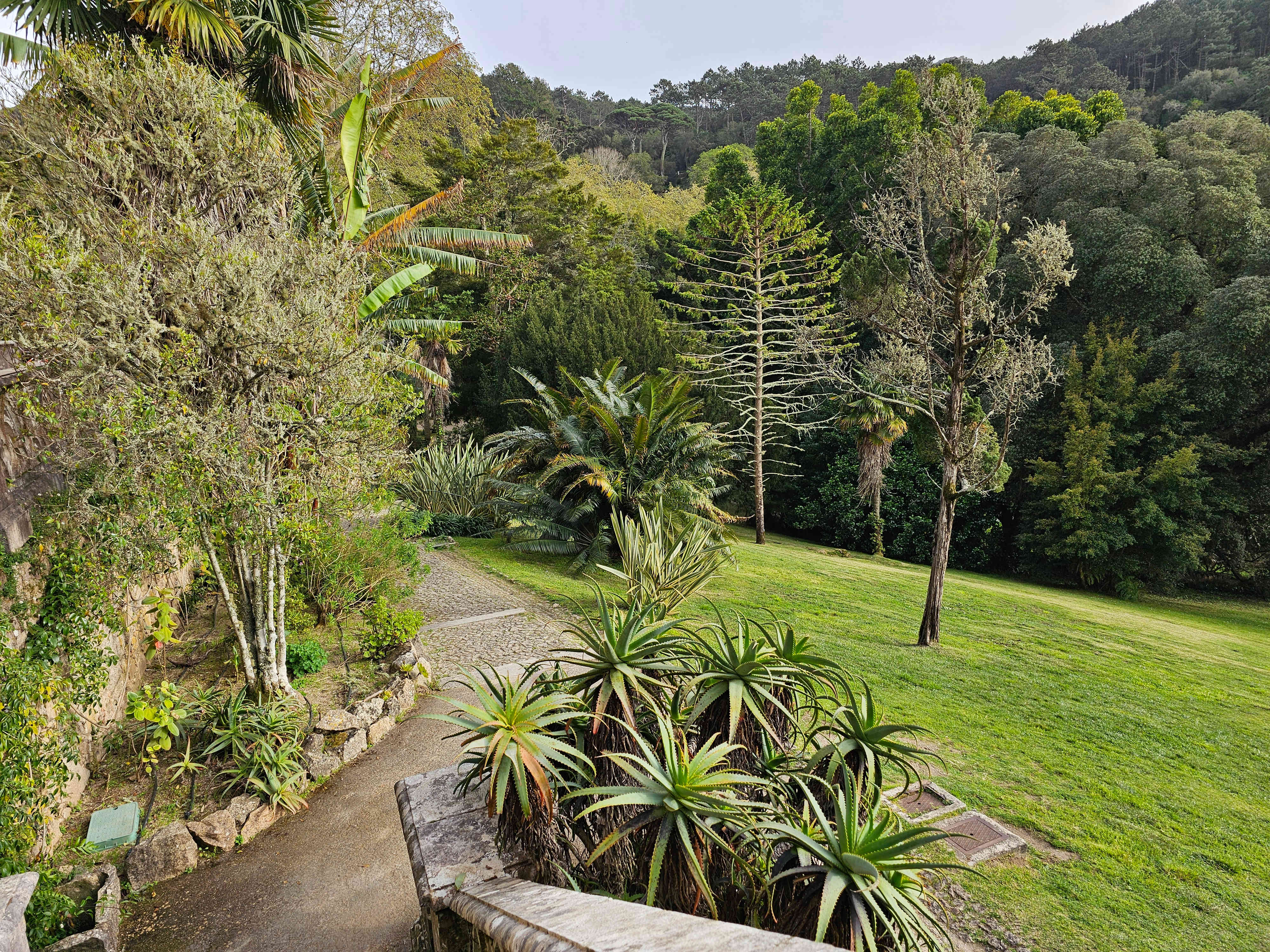 Sintra